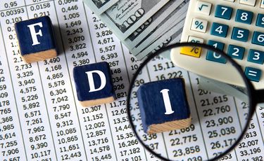 FDI inflows into Turkiye up 12.2% to $13.1 bn in 2025: ...