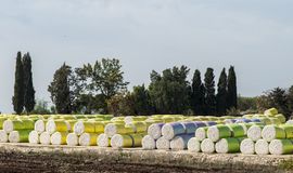 Australia’s cotton export value slips but volume rises in 2025