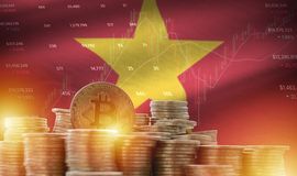 Vietnam’s economy maintains strong momentum amid uncertainties: AMRO