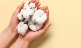 WASDE report projects higher global production, consumption