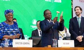 No agreement at WTO on extending e-commerce duties moratorium