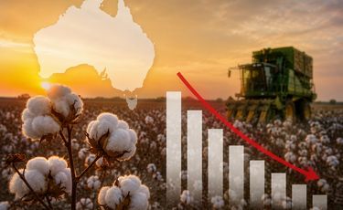 Australia to see cotton crop contract to 3 mn bales in 2026-27