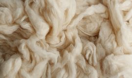 Australian wool prices slip as fine merino demand weakens