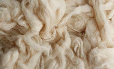Australian wool prices slip as fine merino demand...