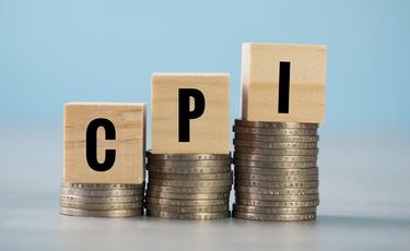 China's CPI rises 1.2% YoY in May; core inflation...