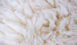 Australian wool market ends season lower after final-week correction