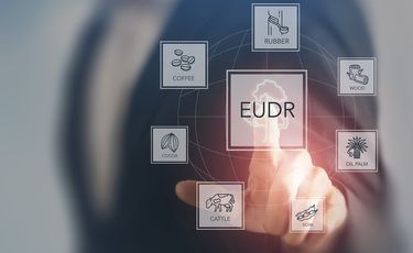 EU updates EUDR product scope, eases compliance for...