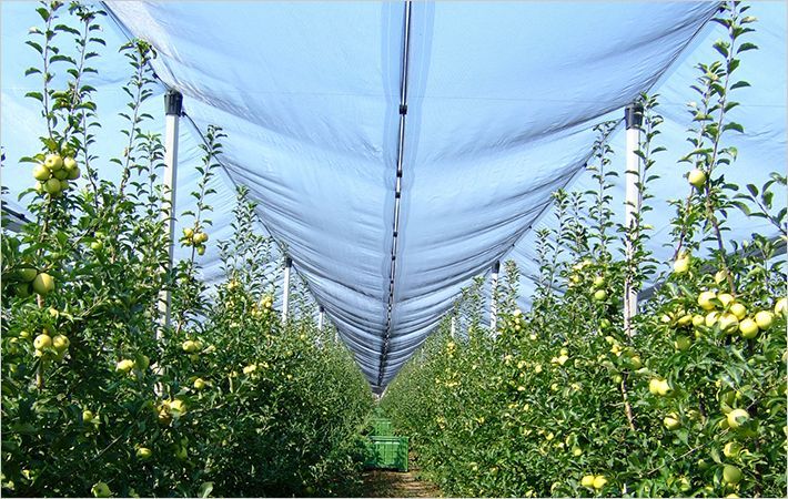 Acme Group launches recyclable agri-fabrics line 