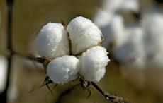 China’s cotton imports down 39% in 2016