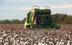 US farmers to plant cotton on 11mn acres in 2017: NCC