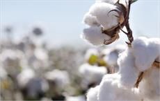 Cotton prices show mixed movement in Indian market