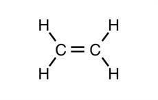 European ethylene prices decline last week