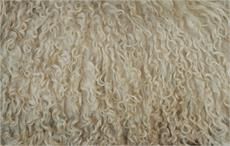 Australia to produce 340 mkg greasy wool in 2017-18