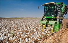 Indian firm buys Monsanto Holdings’ cotton seed business
