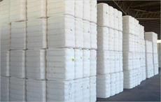 Oritain launches traceability solutions for cotton