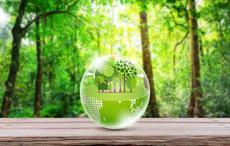 Gucci CEO unveils ten-year sustainability plan