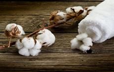 Tajik textile complex to raise volume of processed cotton