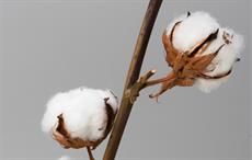 No tax on cotton fabric import from India to Vietnam soon