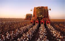 US-China trade tensions create uncertainty for cotton 