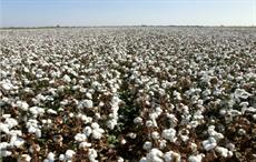 Cotton Council International elects new officers for 2019