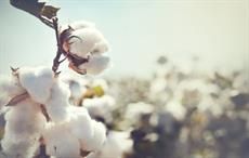 Uzbek cotton removed from US child labour products list