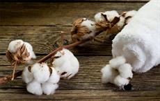 Cotton industry in Zimbabwe targets $1bn earnings annually