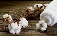 Restore regulatory duty on Pak cotton import: meeting