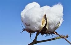 Nigeria's Funtua mill expansion to revive cotton farming