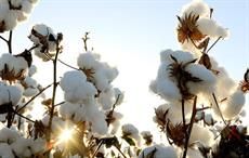 Pic: Cotton Australia