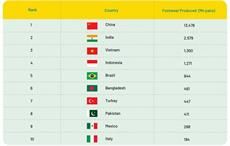 Pic: Invest India / Non Leather Footwear Industry in India