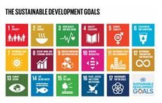 Pic: discoverthesdgs.com