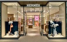 Pic: Hermes International