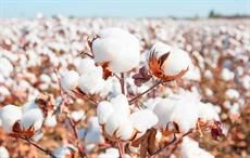 Pic: US Cotton Trust Protocol