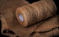 Why India’s TD-5 raw jute price may drop in H2 2021?
