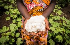 Pic: Cotton made in Africa