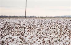 India to emerge as sole supplier of quality cotton: Minister Goyal