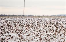 Indian cotton spinners see decadal high gains, outlook positive: ICRA