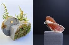 Pic: Messe Frankfurt/Jenny G-Noor and Ana Straze