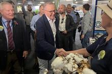 Australian PM Anthony Albanese at Ekka. Pic: Cotton Australia