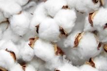 Pic: COTTON USA