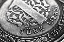 Steadier policy key for potent Turkish monetary tightening: Fitch.