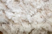 Mixed fortunes at Australian wool auctions amid currency fluctuations