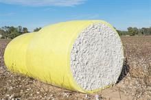 ICE cotton sees mild gain; supported by weak dollar, rising oil prices