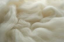 Australian wool auctions witness surge amidst currency fluctuations.