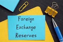 Bangladesh's forex reserves grow by $180mn in a week: Reports