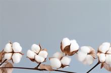 ICE cotton gains driven by short covering, crop concerns in US, Brazil
