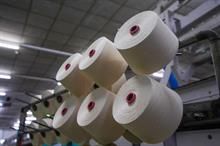 Limited trade in cotton yarn as north India awaits poll outcomes