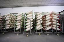 North India cotton yarn struggles amid weak demand, optimism persists.