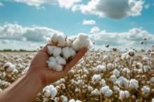 ICE cotton gains for second day amid volatile market trends