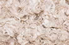 Market pressure mounts as Australian wool auctions see price falter.